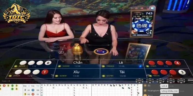 Cửa xóc đĩa TDTC phân biệt chẵn lẻ rõ
